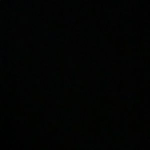 Meet your Posher, Amelia